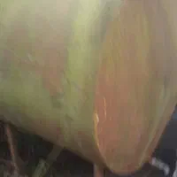 تانکر سوخت ۱۰۰۰ لیتری|مصالح و تجهیزات ساختمان|لشت نشا, |دیوار