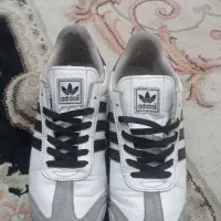 زد ایکس ساموا