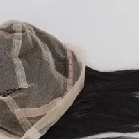 پروتز مو موریس