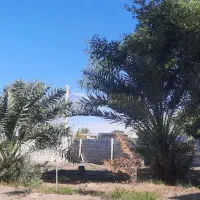 زمین نزدیک جاده اصلی شهر بنذرک