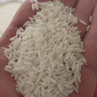 برنج هاشمی معطر به شرط پخت