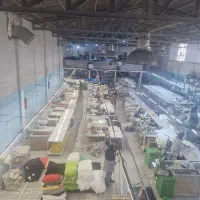 سرنخ زن خانم ماهر، کارگر ساده آقا