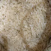 برنج طارم هاشمی یکدست شمال