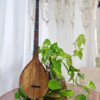 سه تار کاملا نو استفاده نشده