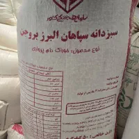 خوراک پرواربندی دام طلای سبزان بروجن