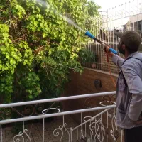 خدمات سمپاشی باغبانی سم پاشی درختان در سراسر مشهد