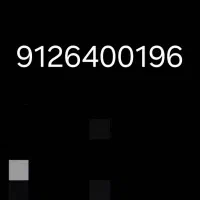 9126400196