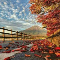 نیازمند تعدادی نیروی خانم و آقا بابت کار در املاک