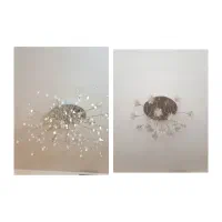 چند مدل لوستر و دیوار کوب