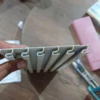 رگال شیاردار شاخکخور