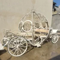 درشکه اسب سواری|اسب و تجهیزات اسب‌سواری|اصفهان, عباس‌آباد|دیوار