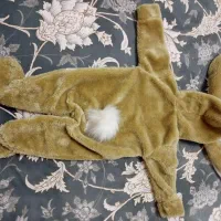 سرهمی پولیشی خرگوشی|کفش و لباس بچه|کرمانشاه, |دیوار