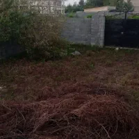 ۳۰۱متر با پروانه ساخت ۷۵متری شهری گورابزرمیخ|فروش زمین و ملک کلنگی|گوراب زرمیخ, |دیوار