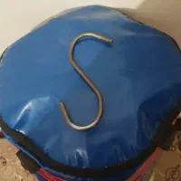 همه ای این ها سالم هستندو تازه هستند