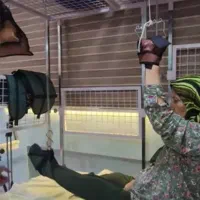 فیزیوتراپی تخصصی و کاردرمانی در منزل|خدمات آرایشگری و زیبایی|کرج, دهقان ویلا|دیوار