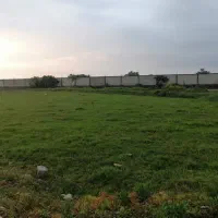 زمین کاربری باغی در رشت