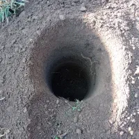 شخم زن ،چاله کنی ، علف زن و چوب بری و هرس درختان|خدمات باغبانی و درختکاری|شبستر, |دیوار