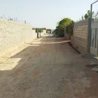 صحرا سفید آب زمین چهار دیواری بر جاده اصلی|فروش زمین و ملک کلنگی|برخوار, |دیوار