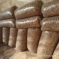 هسته داز یا هسته خرمای وحشی تسبیح