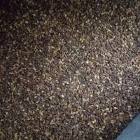 کنجد درجه یک|خوردنی و آشامیدنی|دره شهر, |دیوار