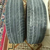 لاستیک پیکان