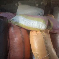 کاه عدس|حیوانات مزرعه|اردبیل, |دیوار