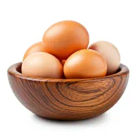 راهنمایی در مورد تخم نطفه دار