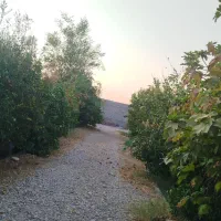 باغ 952متری  اسکندرآباد برق دار قیمت مناسب