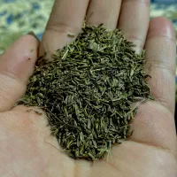 زیره کوهی اصل کلات
