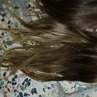 خریدار گیسو های بور و رنگی بانوان در استان|خدمات زیبایی و سلامت|اهواز, فرهنگ شهر|دیوار