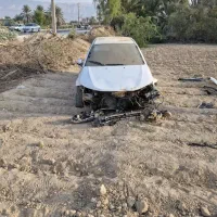 فروش دنا تصادفی