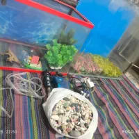 آکواریوم شرکتی