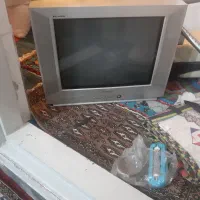تلویزیون