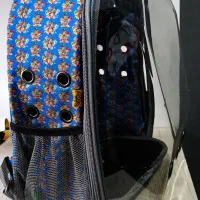 کوله پشتی پرندگان