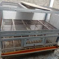 قفس کبوتر