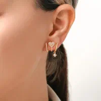 بدلیجات واکسسوری