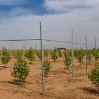 فروش-زمین-باغی-با-حداقل-پیش-پرداخت-و-اقساط-2-ساله
