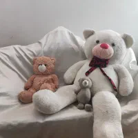 خرسهای کوچک 250000 بزرگ یک میلیون و دویست