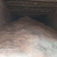 فروش کاه تازه