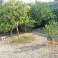 خانه فروشی کهنوج|فروش خانه و ویلا|کهنوج, |دیوار