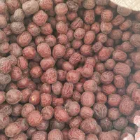 عناب|خوردنی و آشامیدنی|اصفهان, دانشگاه افسری امیرالمومنین|دیوار