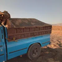 ارسال‌کود‌درجه‌۱‌به‌سراسر‌کشور‌