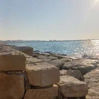 کارت ملی پیدا شده/لطف اله خیزات