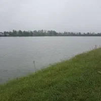 ۳۰ هکتار استخر ماهی کنار جاده ماسوله فروش متری ۷۵۰|فروش دفتر صنعتی، کشاورزی، تجاری|دماوند, دماوند|دیوار