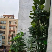 باکس گل گیاه نمای ساختمان اداری اجرای فلاور باکس|گل مصنوعی|تهران, بروجردی|دیوار