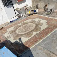 فرش ۱۲ متری|فرش|ساوه, |دیوار