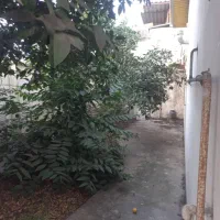 فروش خانه کلنگی 240متر قابل سکونت با سند تکبرگ|فروش خانه و ویلا|سرخرود, |دیوار