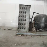 یخچال قصابی