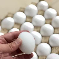 تخم‌مرغ عمده با قیمت روز و تحویل منظم