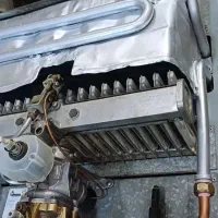 نسل قدیم بوتان B118